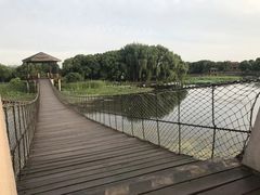 景点-荷塘月色湿地公园·向阳花洲