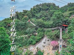 -南丹山森林王国