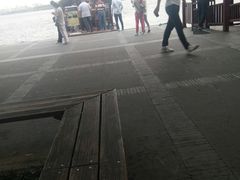 -西湖外事游船(花港观鱼码头)