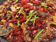 -老板恋上鱼(恒隆广场店)