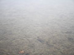 -新江湾城公园