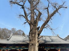-青檀寺景区