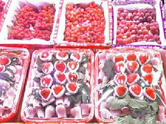 -菜园坝水果市场