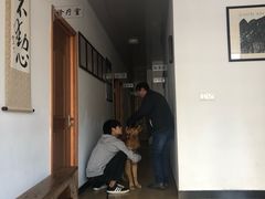 -灵美宠物诊所