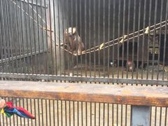 -福州动物园