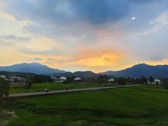 -黄牛肉馆·皖南土菜