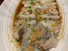 -眉州东坡·熊猫主题餐厅(枫蓝店)