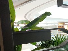 -湊湊火锅·茶憩(皇姑万象汇店)