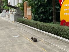 -烈士陵园(地铁站)