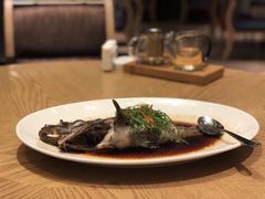 清蒸海石斑-彩丰楼中餐厅·仁恒洲际酒店