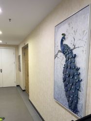 -北京炫美医疗美容