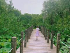 -潜龙渠公园