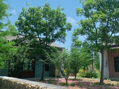 -上海浦江郊野公园-5号停车场