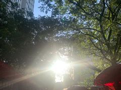 -麦当劳(兰天城市广场店)