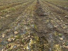 -紫颐香薰山谷景区