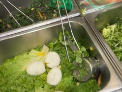 -油梨树AVOCADO TREE(望京店)