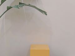 -echoes coffee回响咖啡(红山店)