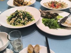 -大连湾旭日·家宴·海肠捞饭(马栏广场店)