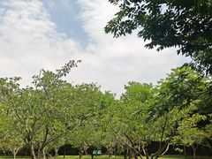 -大连植物园