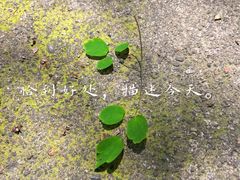 -龙窝子