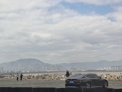 -北岐滩涂