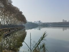-李公堤
