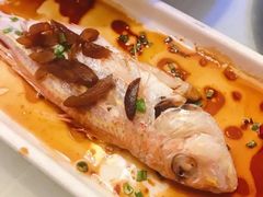 青津果煮金线鱼-堂宴·老厦门私房菜(1988仙岳总店)