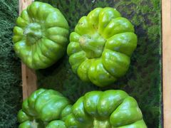 -花菇朵·云山雀 ll 野生菌火锅·精品云南菜(万柳店)