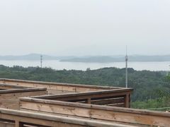 -欢乐松鼠谷