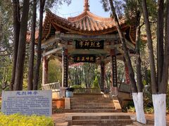-昆明动物园