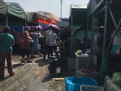-何庄子阿米玛玛农产品批发市场