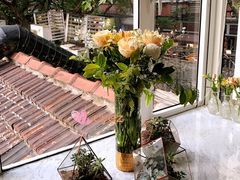 -蝶舍·MAISON PAPILLON