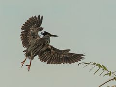 -象头山国家级自然保护区
