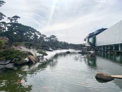 -罗红摄影艺术馆