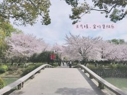 -玄武湖景区-情侣园游乐场