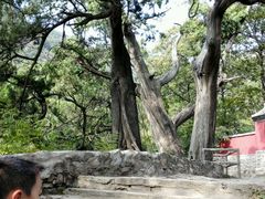 android_upload_pic-北京上方山国家森林公园