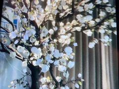 -仟汇足道·SPA(秀洲总店)