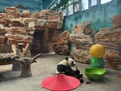 -石家庄市动物园