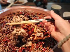 -三只耳冷锅鱼火锅(玉林店)