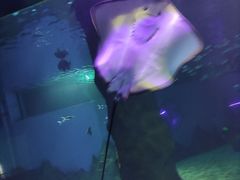 -北戴河圣蓝海洋公园