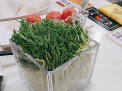 -潮汕大目牛肉火锅(水围店)