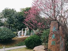 -武汉园博园(武汉自然博物馆)