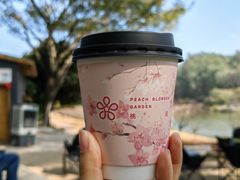 -南国桃园旅游度假区