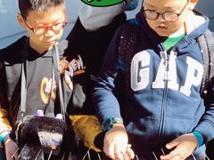 -亲兄弟真人CS团建拓展基地