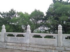 IMG_20150529_151115-北山公园
