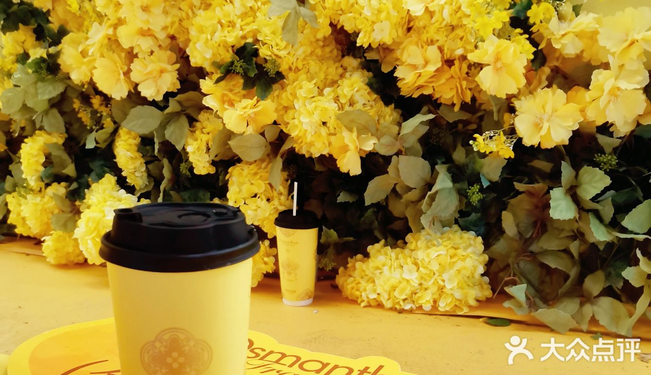 爷爷不泡茶，喝完365天我将余生想念🥰