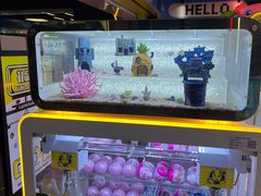 -风云再起游乐汇(北京西单西西友谊店)