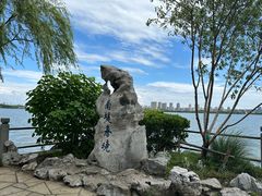 -无锡蠡湖国家湿地公园-蠡园