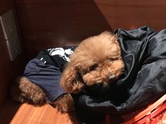 -Seesaw Coffee(朝阳大悦城店)