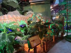 -恐龙探索乐园(磁器口店)